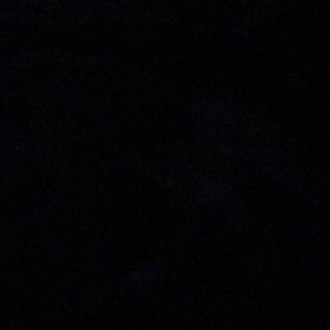 Meet your Posher, Ronny